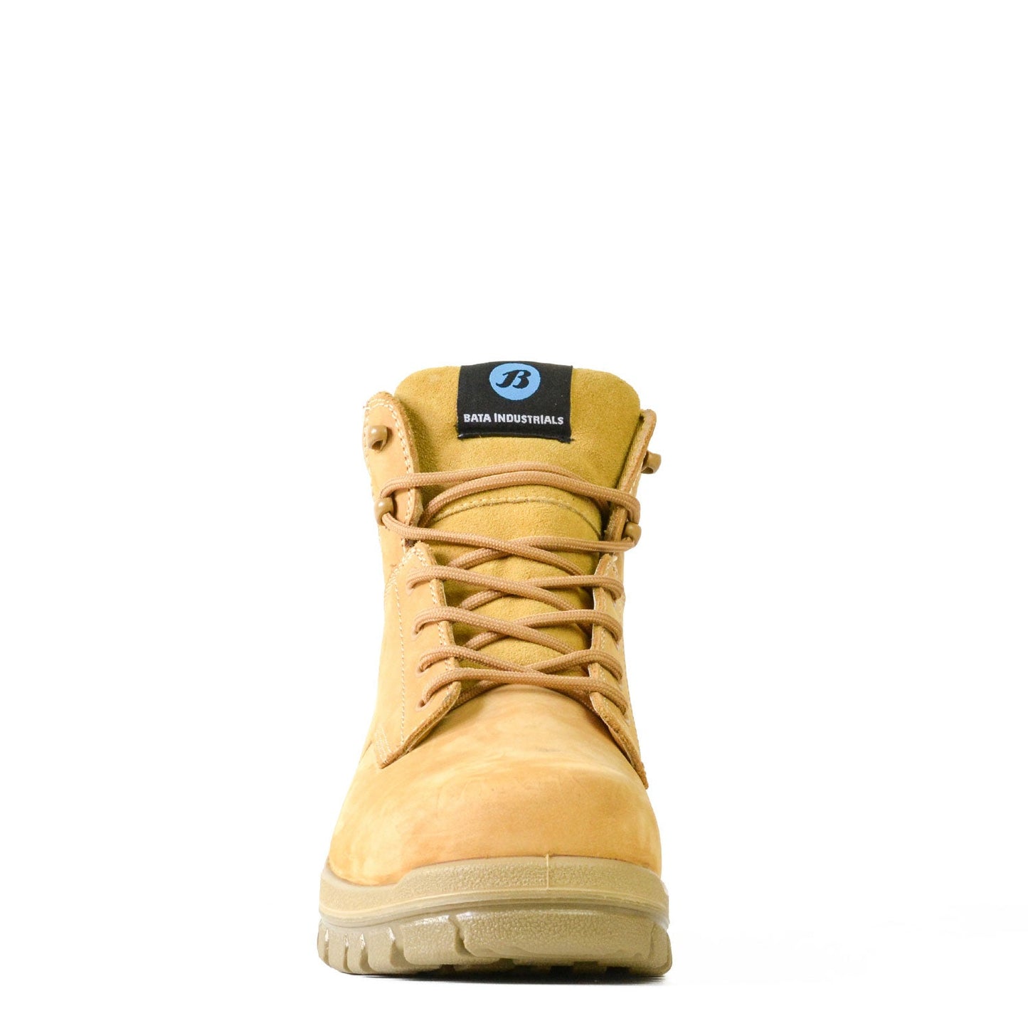 Titan - Wheat